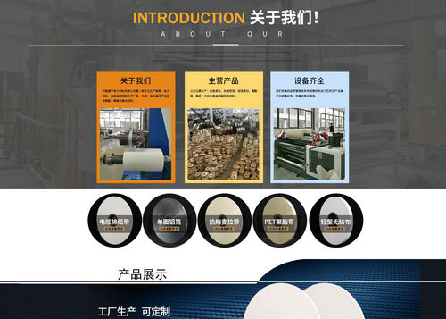 公司簡介